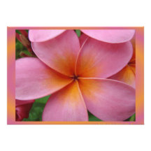 Tom tropisk blomma för hawaiansk rosa Plumeria Anpassade Inbjudan