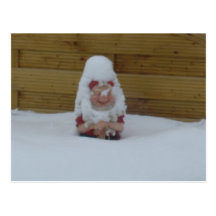 Tomte Nisse, aka jultomten Vykort