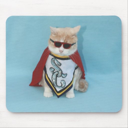 Toppen katt mus matta