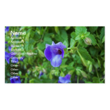 Torenia Visitkort Mallar