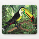 Toucan Mousepad Mus Mattor