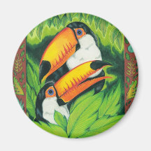 Toucan tropikernamagnet magnet för kylskåp