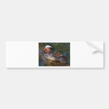 trä-anka-med-en-ankel-braclet bildekaler