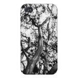 Träd förgrena sig fodral iPhone 4 cases