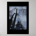 träd print