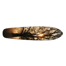Träd Skate Decks