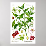 Trädgård Print