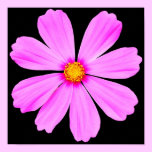 Trädgårds- Flower-3-poster affischer