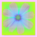 Trädgårds- Flower-5-poster affischer