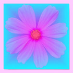 Trädgårds- Flower-6-poster affischer