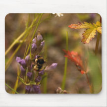 Trädgårds- HoneyBee; Ingen text Mus Mattor