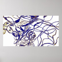 Trama Poster