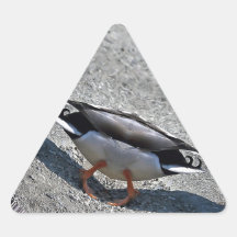 TRANSPORTERFEL TRIANGLE STICKER