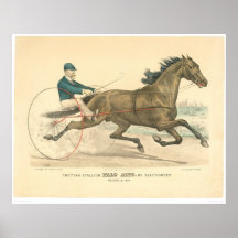 Trava hingsten Palo Alto vid Electioneer (1791A) Posters