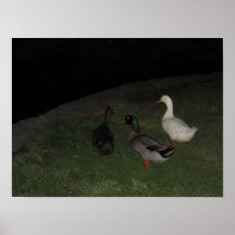 Tre Print