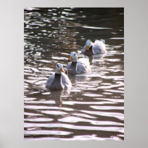 Tre änder print