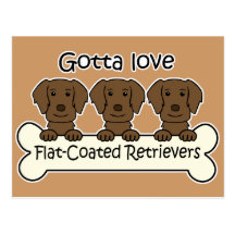 Tre Lägenhet-Jackade Retrievers Vykort