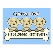 Tre Lägenhet-Jackade Retrievers Vykort