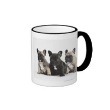 Tre Pedigree valpar Kaffe Muggar