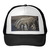 Tre zebror trucker keps