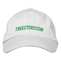 Treeberättelsehatt