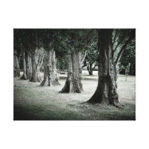 Treeline Kanvasdukar Med Gallerikvalitet