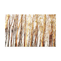 trees sträckt kanvastryck