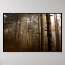 Trees i dimma posters