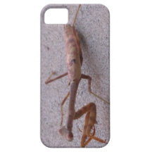 trevligt kryp iPhone 5 Case-Mate skal