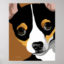 Tri färgchihuahua posters
