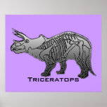 Triceratops Affischer