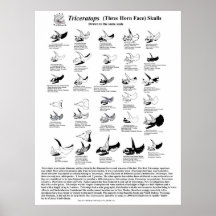 Triceratopsskallar Posters
