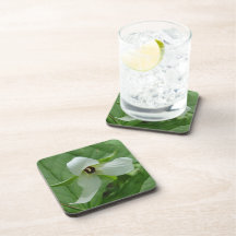 Trillium White Beverage Coasters
