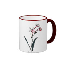 Tritonia Crispa Kaffe Koppar