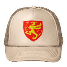 Troms norge trucker kepsar