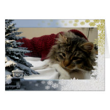 "Trooper Snowfall Notecard för katten" Hälsningskort
