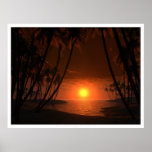 Tropik av cancer print
