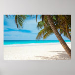 Tropisk paradisstrand affischer