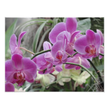 Tropiska blommor fotontryck