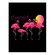 Tropiska Flamingokonstgåvor Vykort