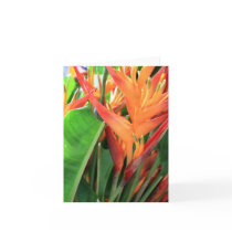 Tropiska Heliconia noterar kort