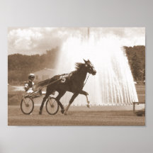 trotter posters