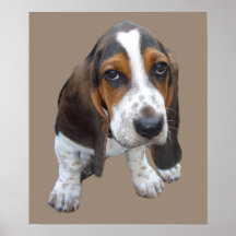 Tryck för Bassethundvalp Affisch