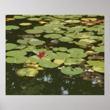 Tryck för Lilypads #2 Impressionismkonst Posters