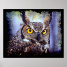 Tryck för Owl 1 Posters
