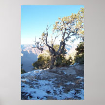 Tryck GrandCanyon-View#11 eller affisch