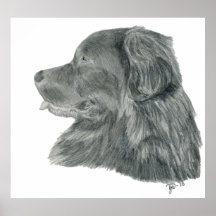Tryck GW för Newfoundland hundkonst Print