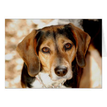 Tuffy beagleblandningen hälsnings kort
