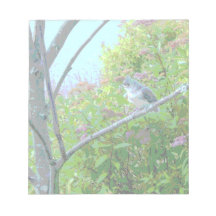 Tufted mes: Nyligen bliven flygfärdig babyfågel Scratch Pads