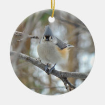 Tufted prydnad för mes (bicolor Baeolophus) Julgranskula
